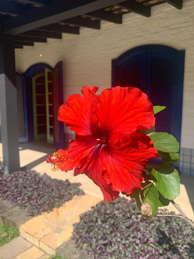 Ubatuba _ Vivencie Nossa Energia Villa Bagian luar foto